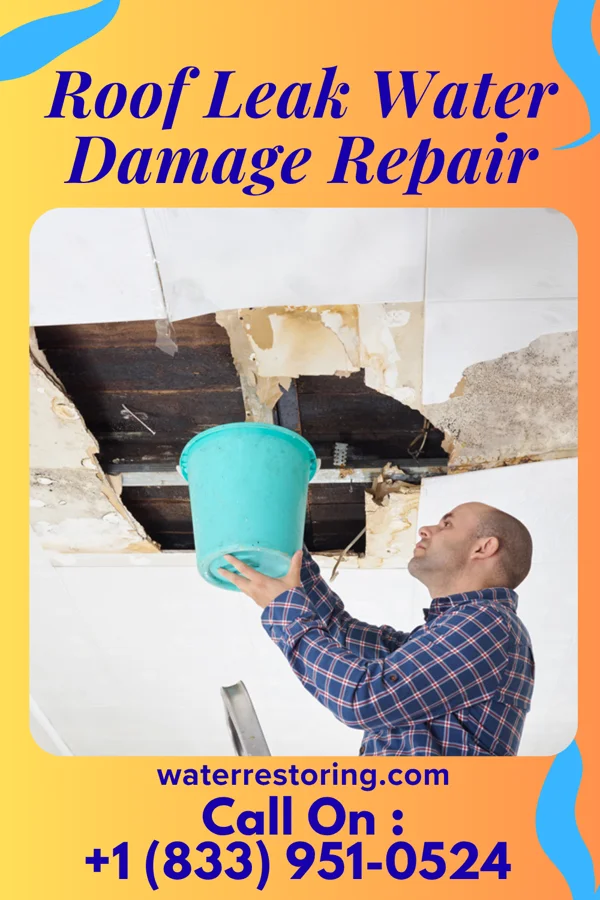 Roof Leak Water Damage Repair in Murdock, MN